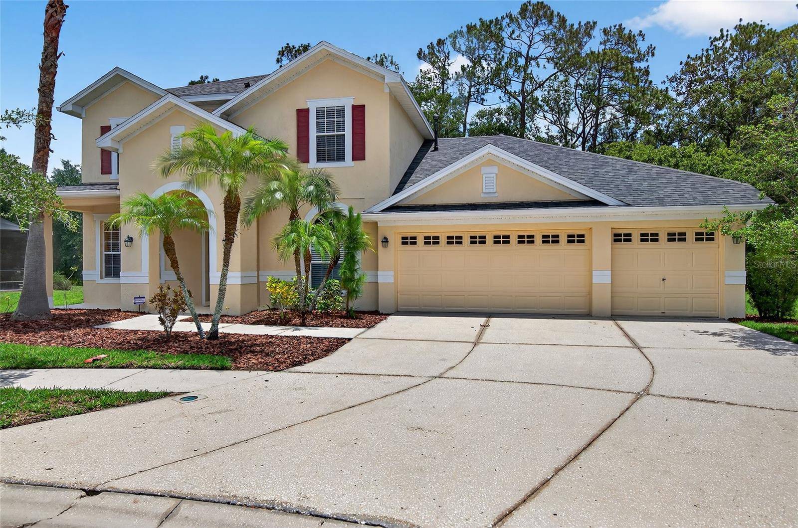 Tampa, FL 33647,16102 COLCHESTER PALMS DR