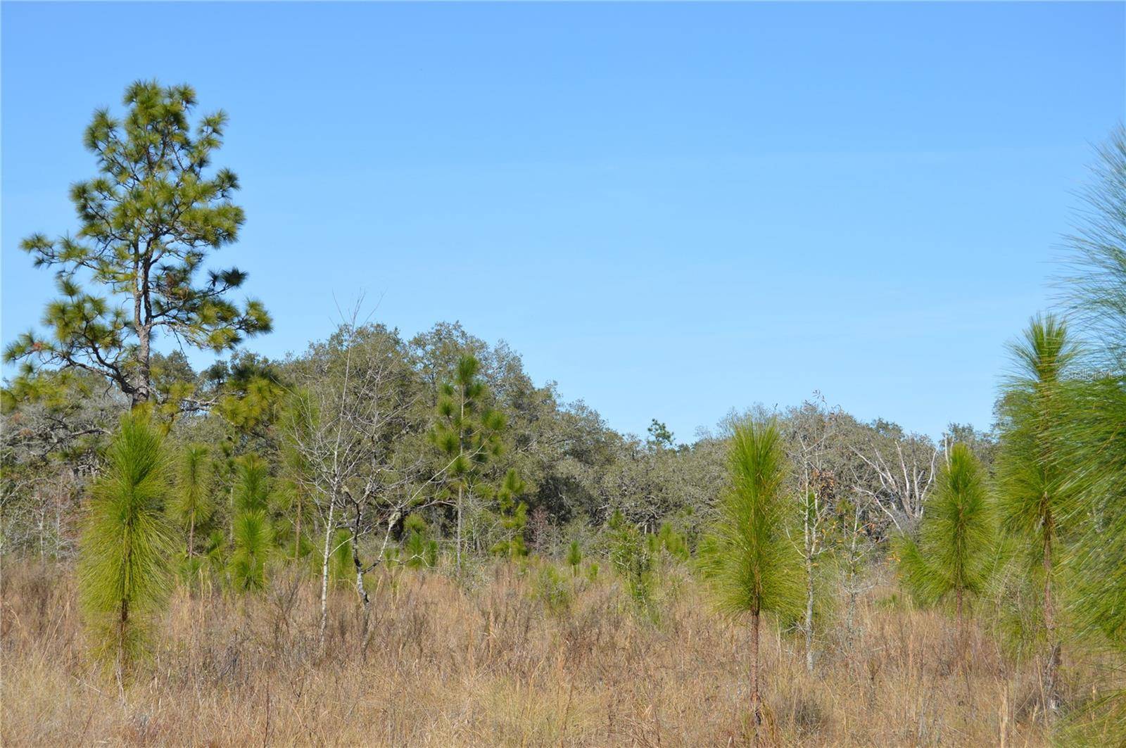 Spring Hill, FL 34610,00 UNNAMED