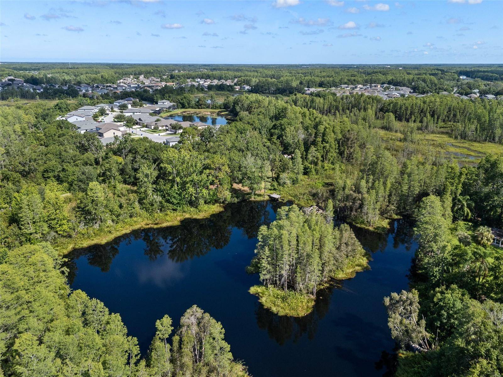 Land O Lakes, FL 34638,20007 BETEL PALM LN