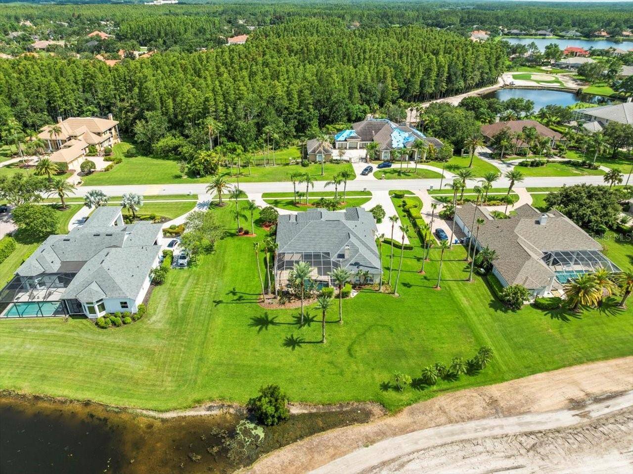 Lutz, FL 33558,4521 CHEVAL BLVD