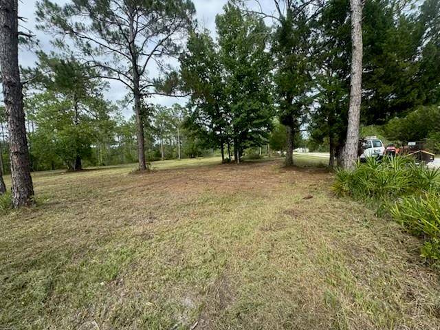 Weeki Wachee, FL 34614,18146 PALMDALE RD