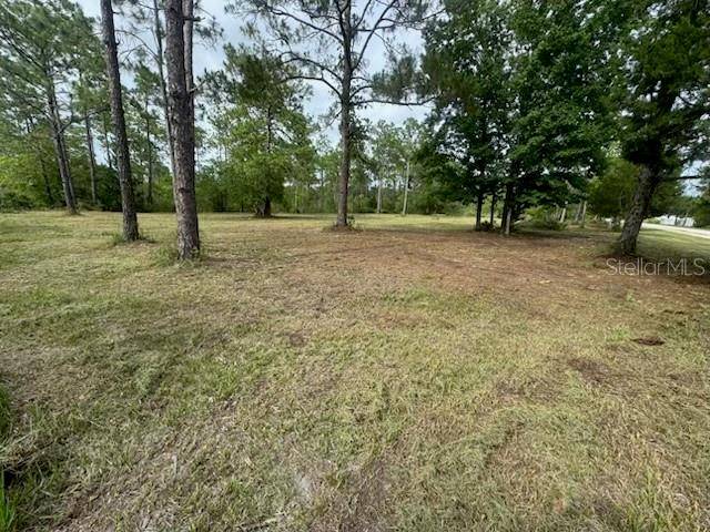 Weeki Wachee, FL 34614,18146 PALMDALE RD