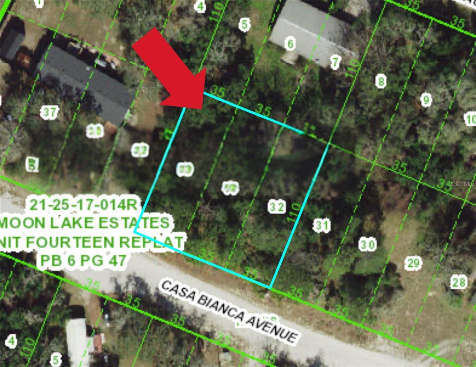New Port Richey, FL 34654,12905 CASA BIANCA AVE