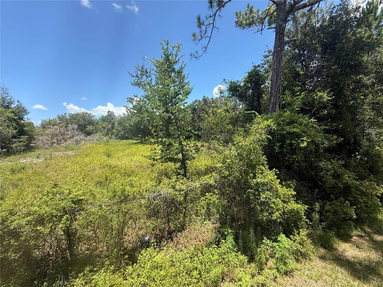 Webster, FL 33597,0 GOOLSBY ST