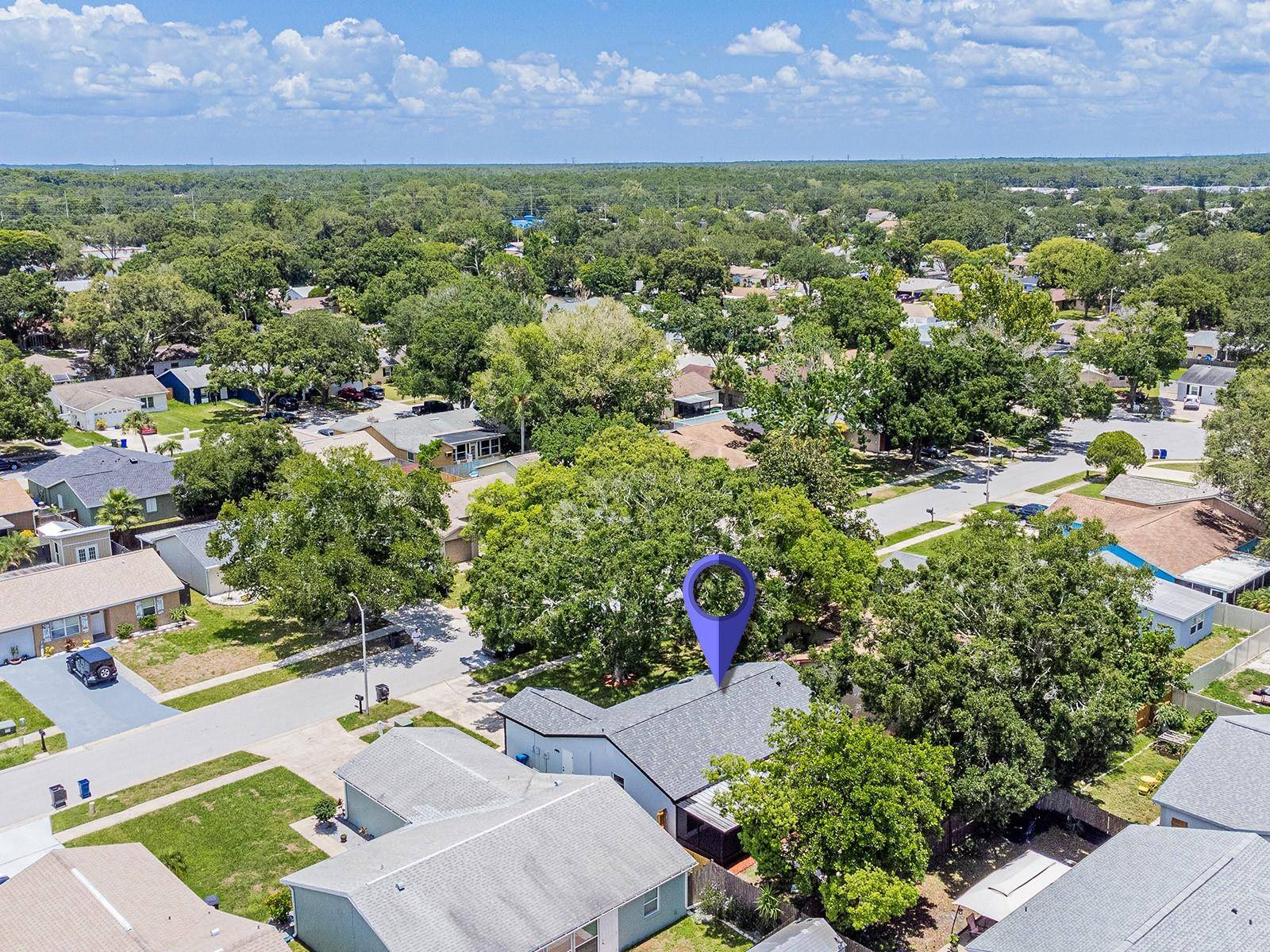 Oldsmar, FL 34677,1923 MONTEGO CT