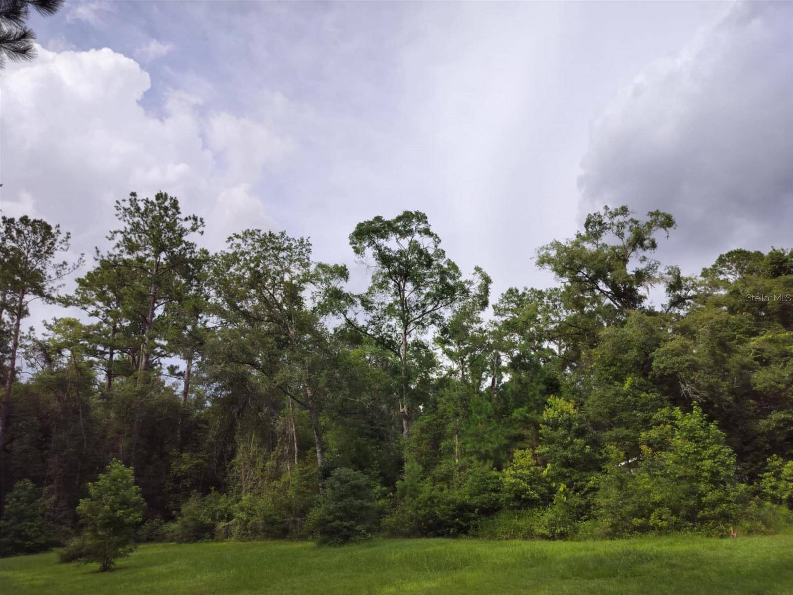 Brooksville, FL 34601,19308 WILDWOOD DR