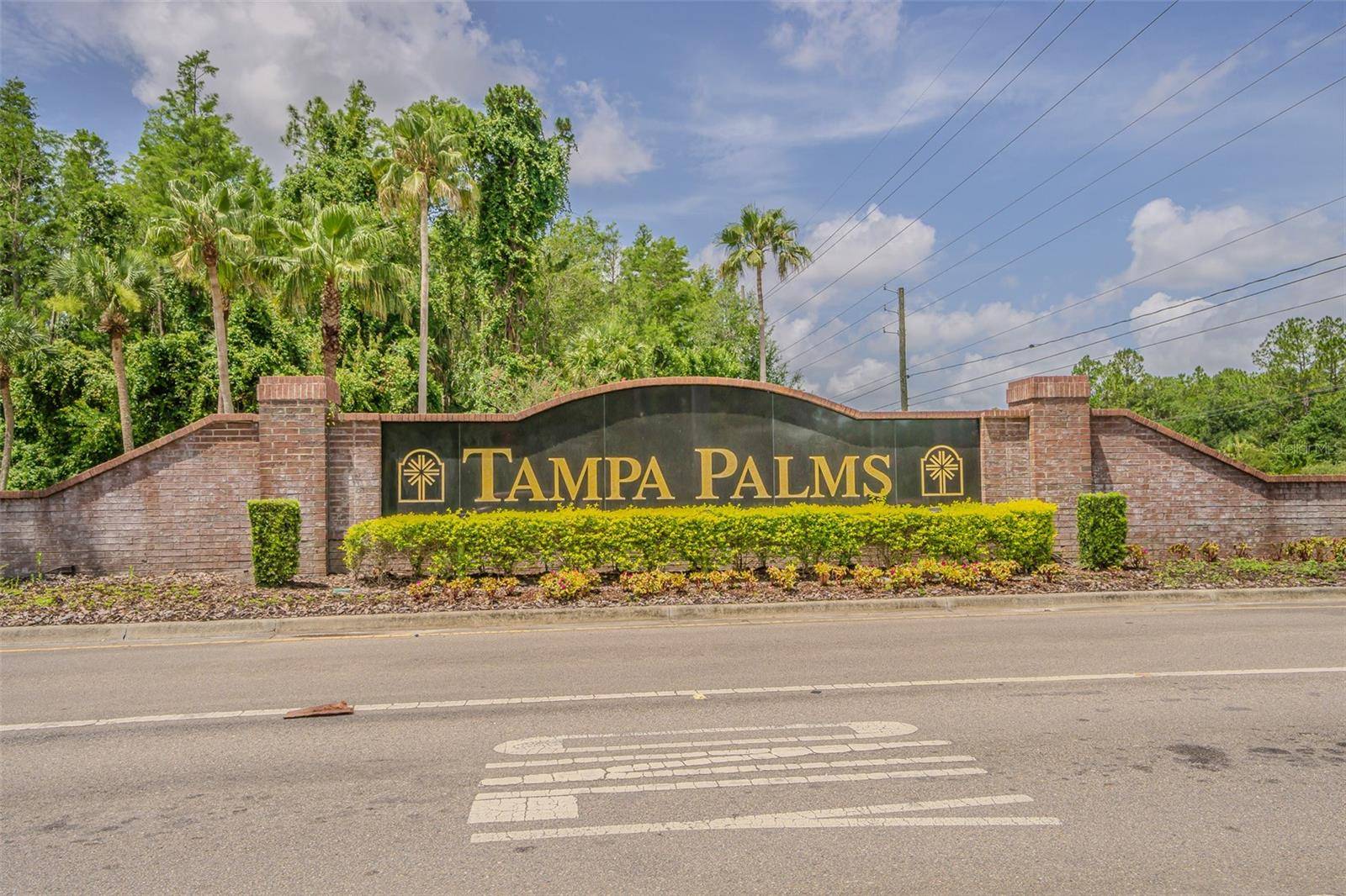 Tampa, FL 33647,6208 CLIFTON PALMS DR