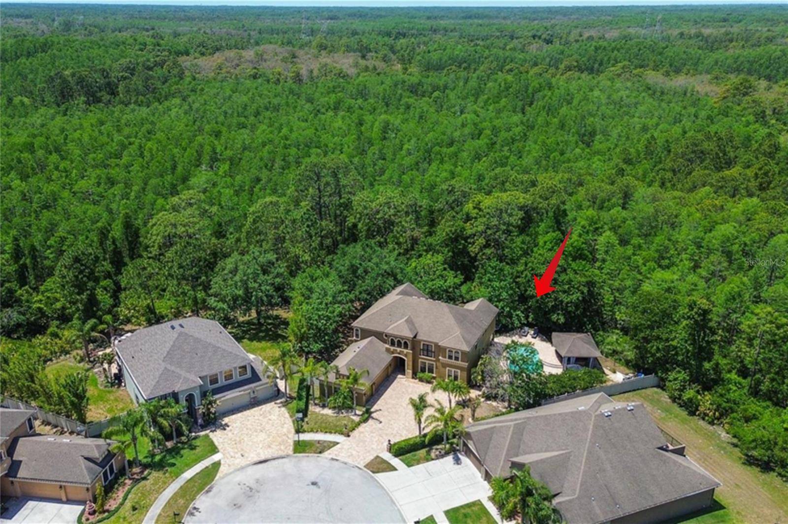 Land O Lakes, FL 34638,14809 NINEBARK CT