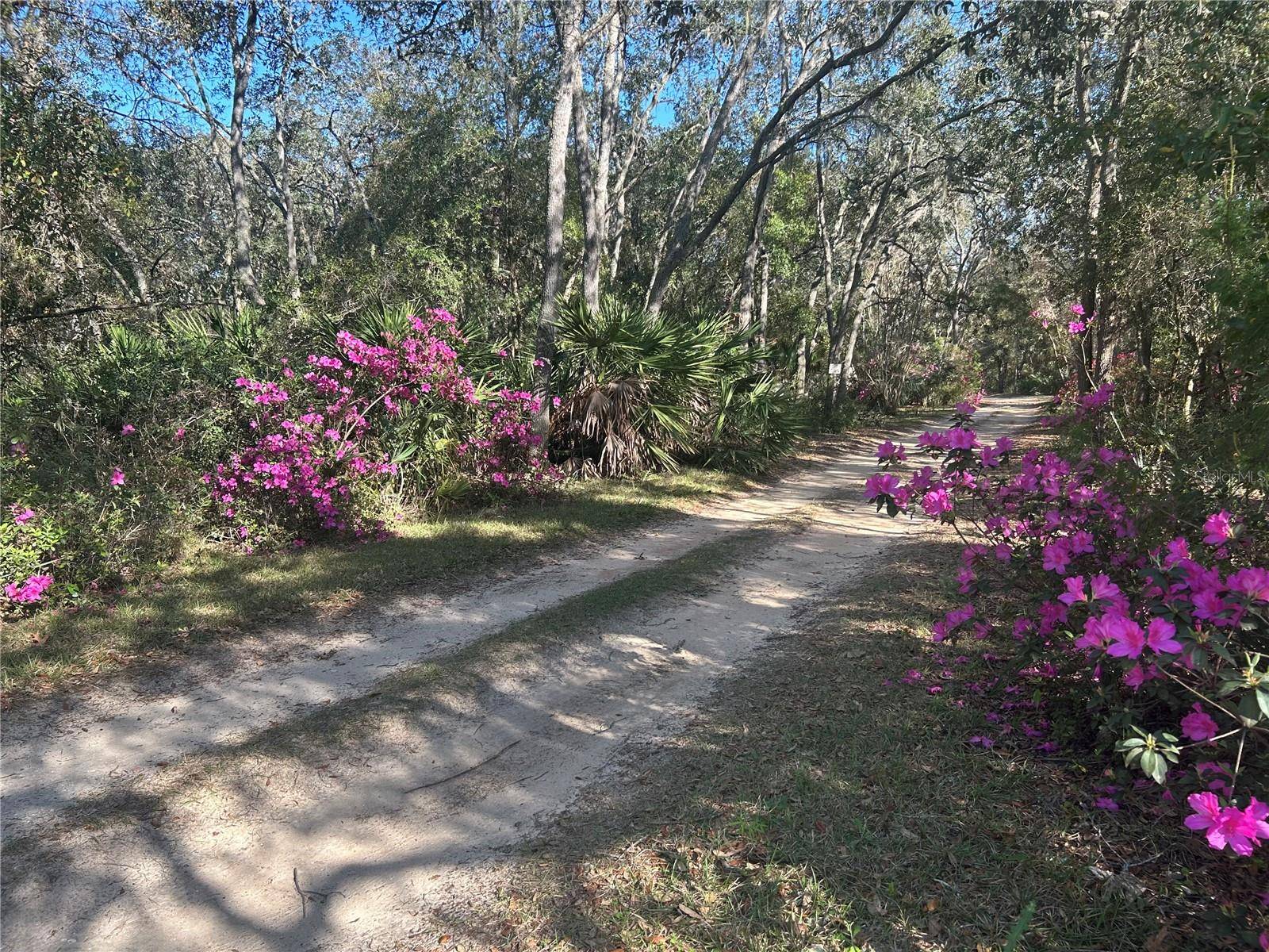 Fort Mc Coy, FL 32134,24175 NE 140TH AVE