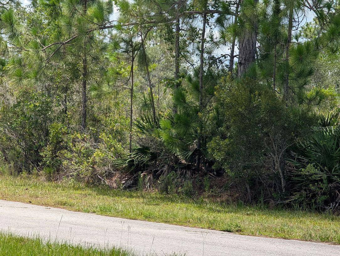 Indian Lake Estates, FL 33855,DELAND AVE