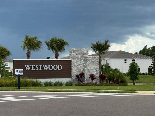 Land O Lakes, FL 34638,17229 AMBER ASPEN WAY #92