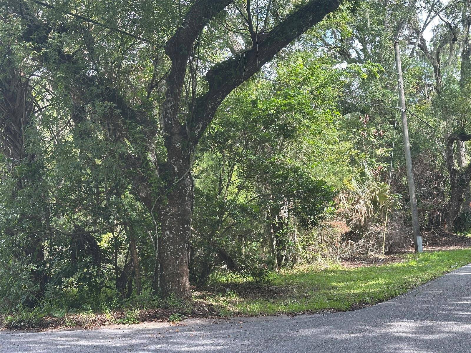Brooksville, FL 34601,610 IRIS ST