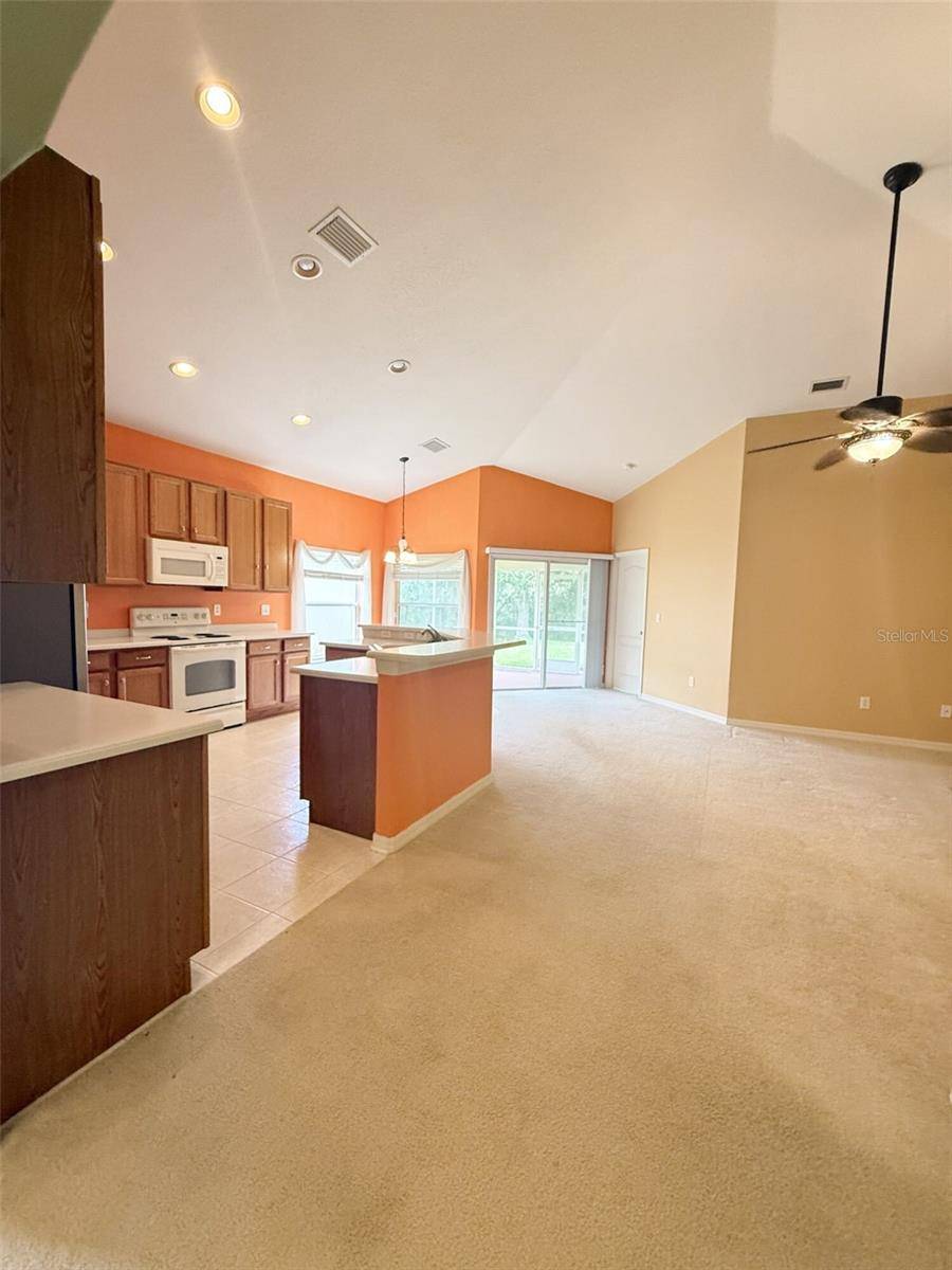 Wesley Chapel, FL 33543,4017 LANGDRUM DR