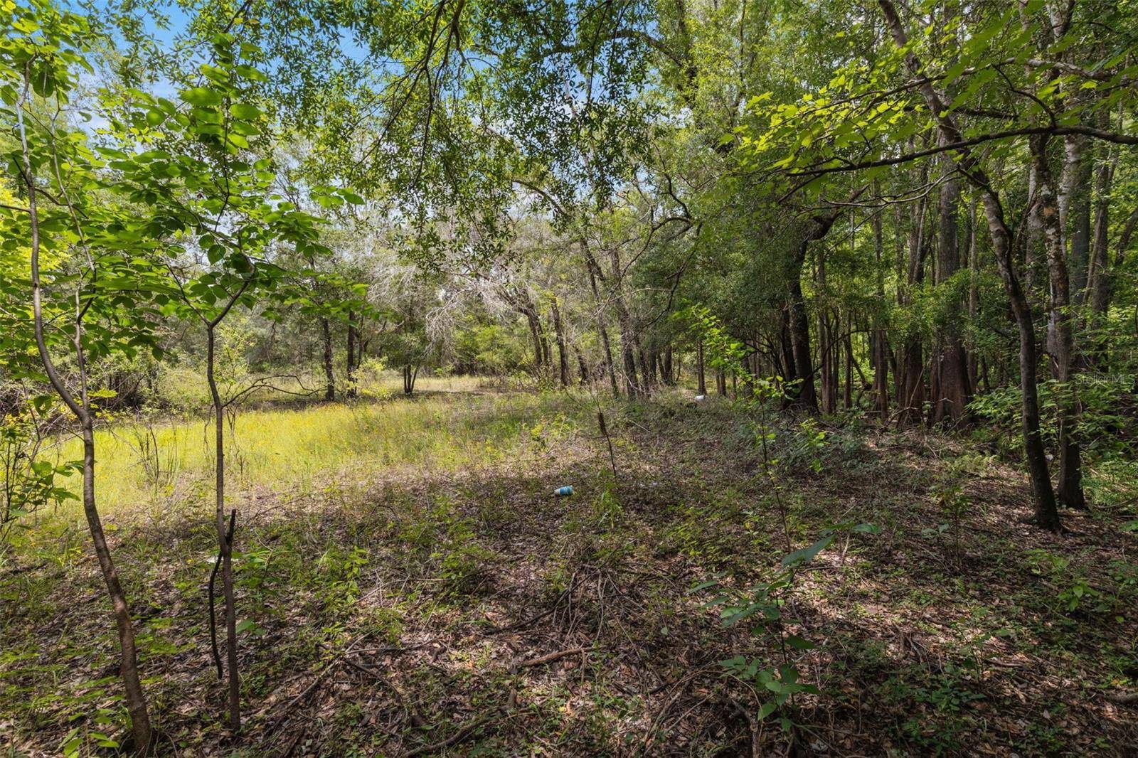 Webster, FL 33597,8198 SHASTA ST