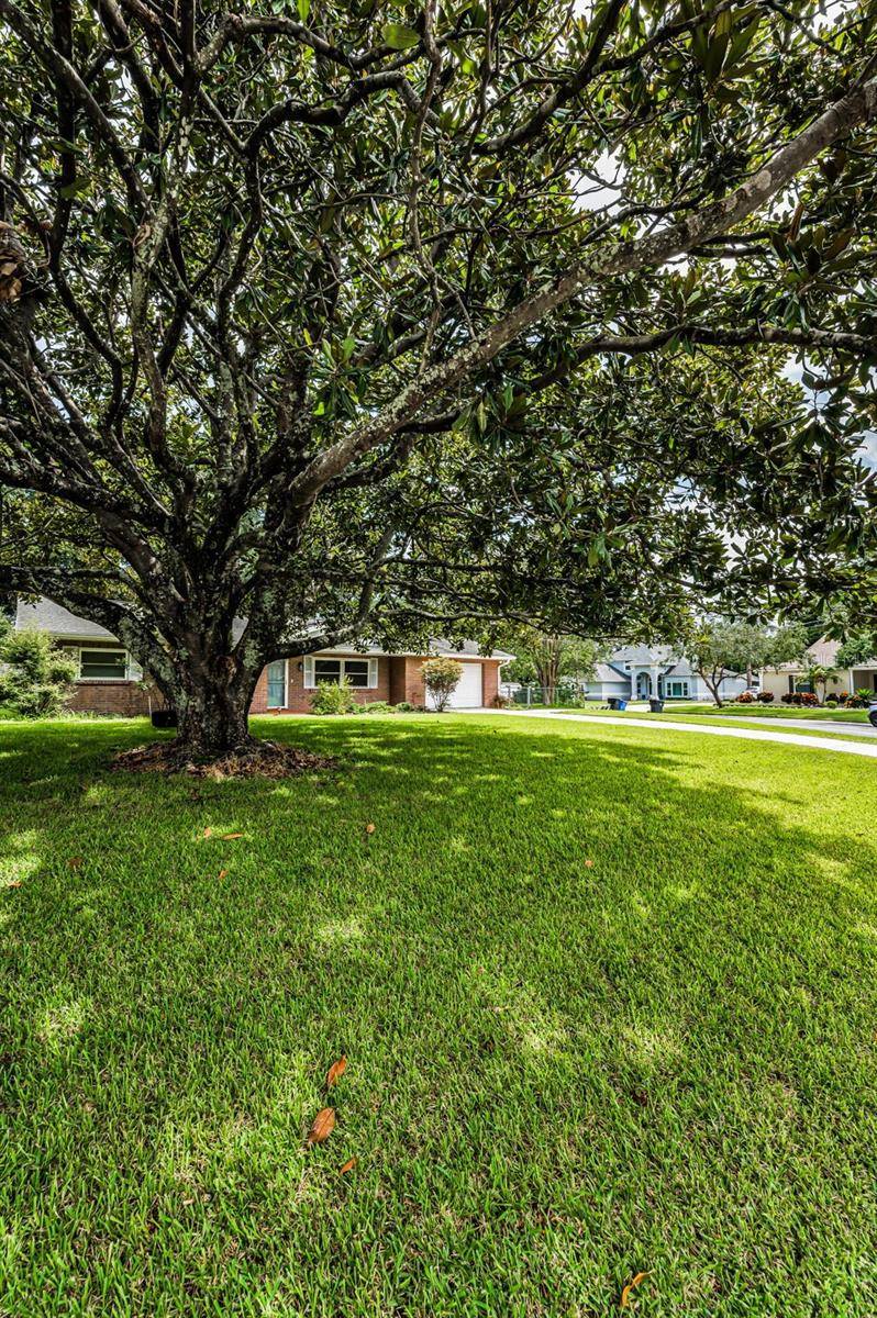 Brandon, FL 33511,607 SPRING BLOSSOM CT