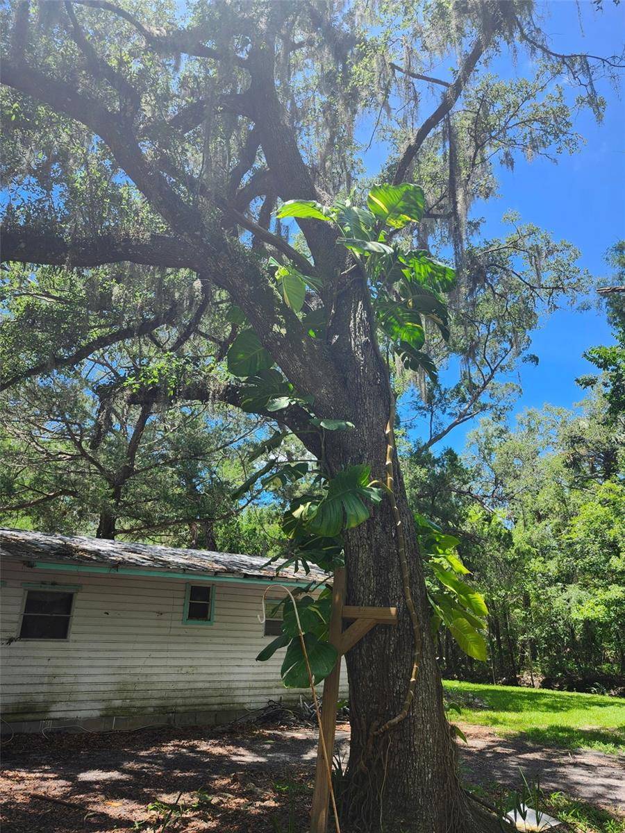 Homosassa, FL 34448,5211 S COURT AVE