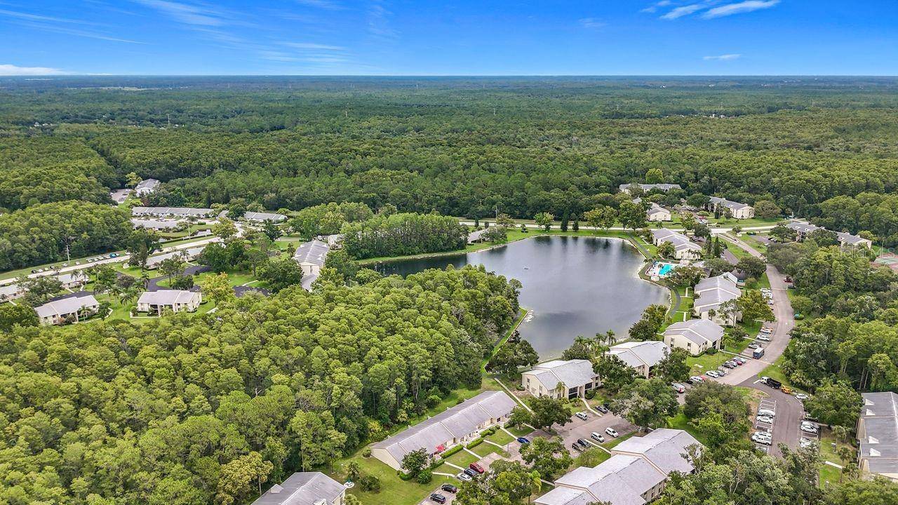 Tarpon Springs, FL 34688,3113 LAKE PINE WAY #C