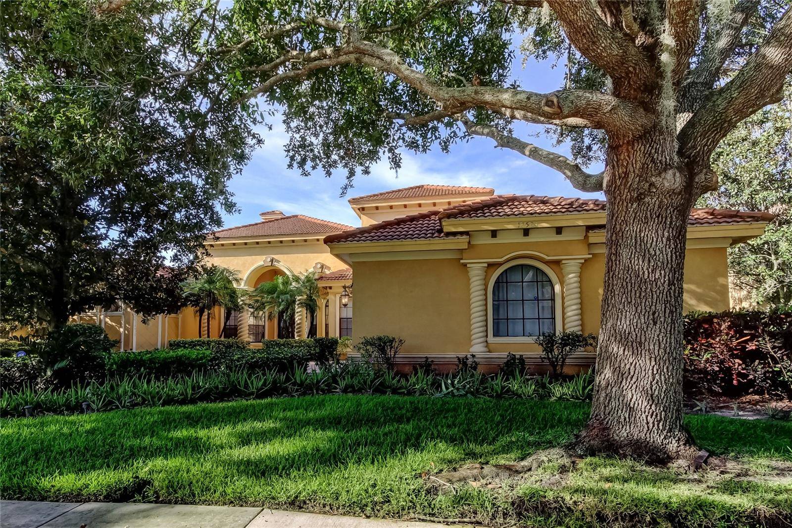Trinity, FL 34655,10504 SABELLA DR