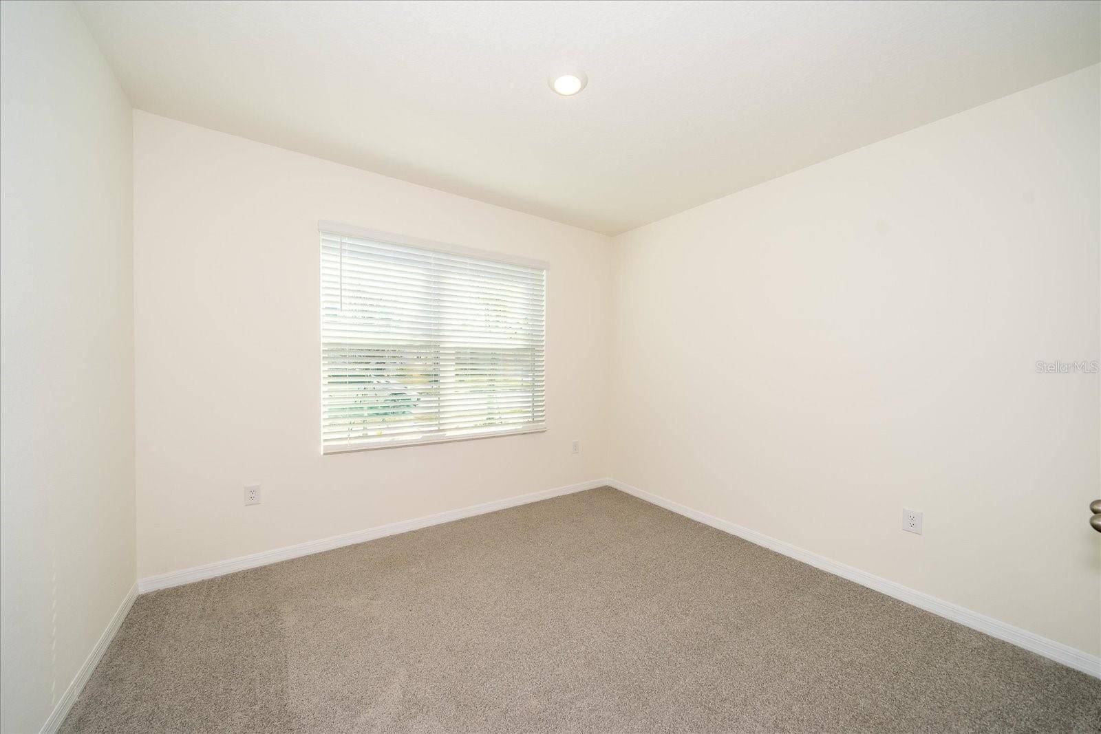 Wesley Chapel, FL 33545,31127 PENNY SURF LOOP