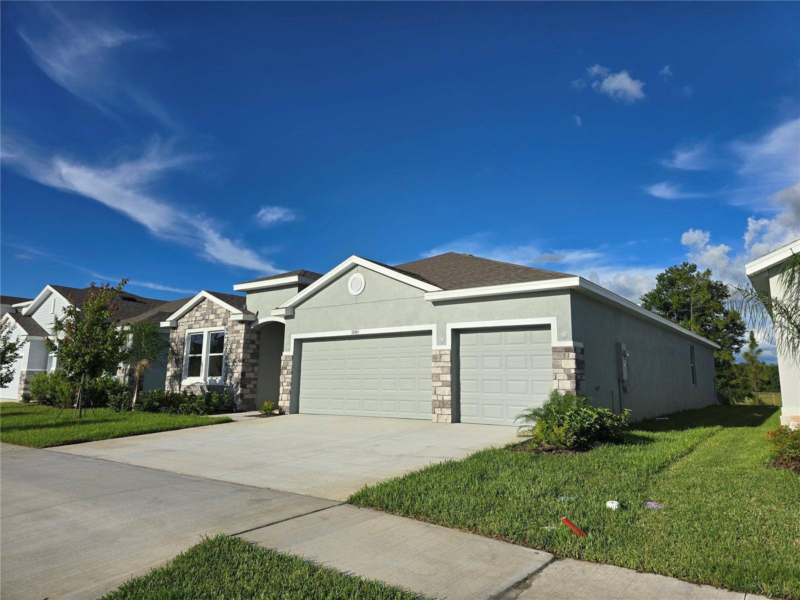 Wesley Chapel, FL 33545,33965 FIELD MAPLE LOOP