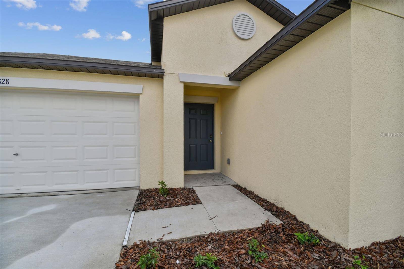 Wesley Chapel, FL 33545,9828 BRANCHING SHIP TRACE