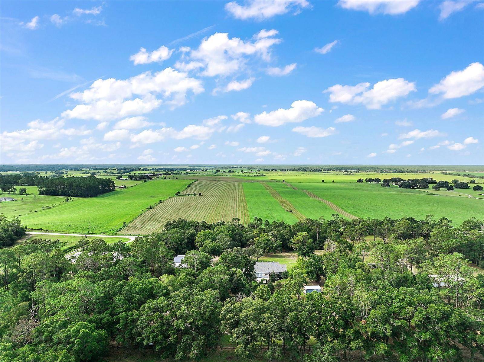 Morriston, FL 32668,16231 SE 80TH ST
