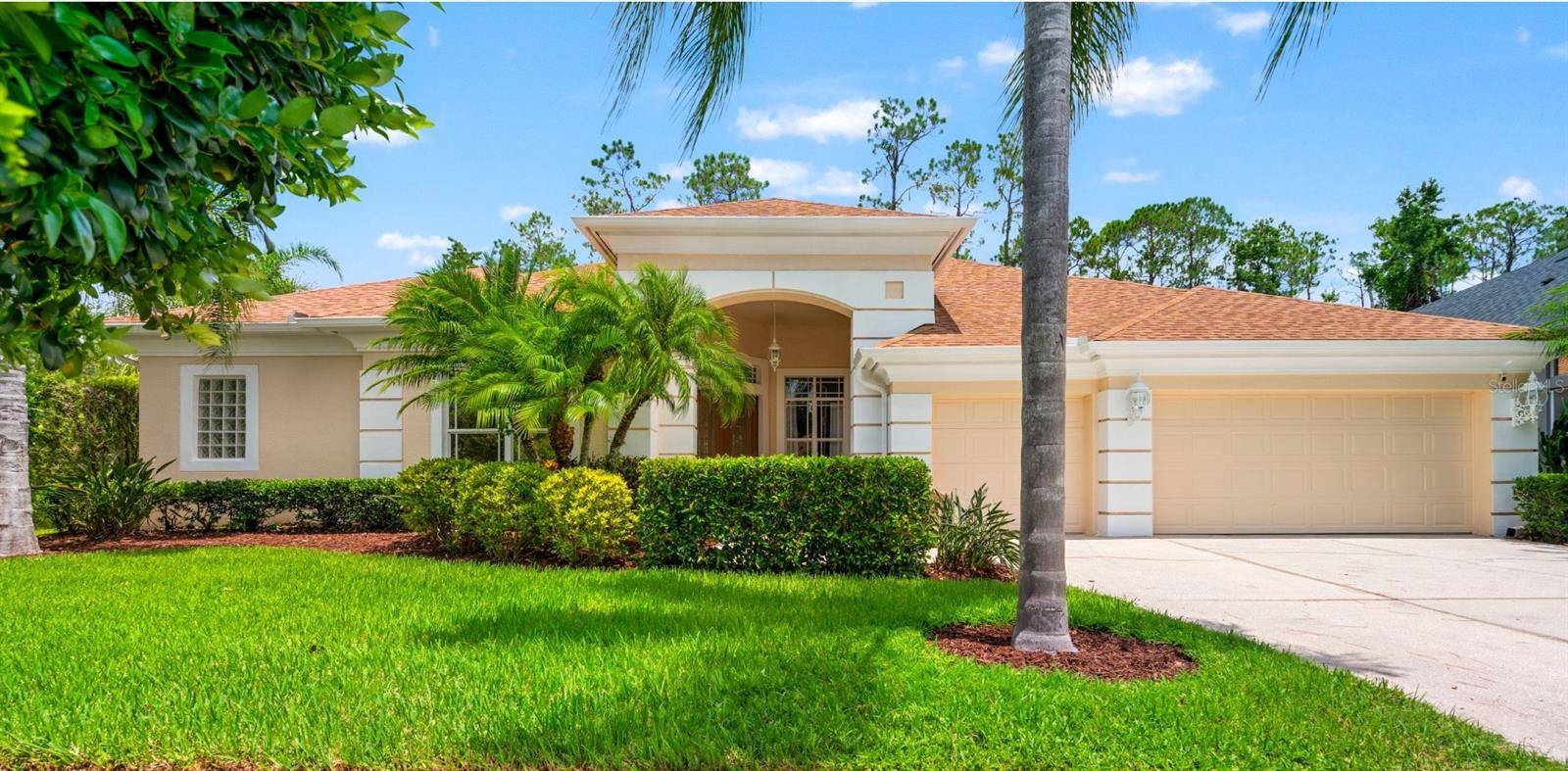 Wesley Chapel, FL 33544,27009 LAUREL CHASE LN