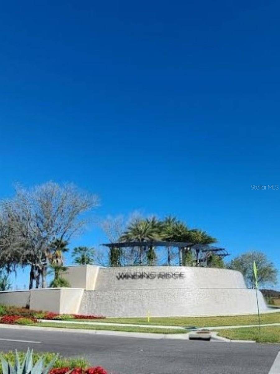 Wesley Chapel, FL 33543,3068 MOUNTAIN SPRUCE TER