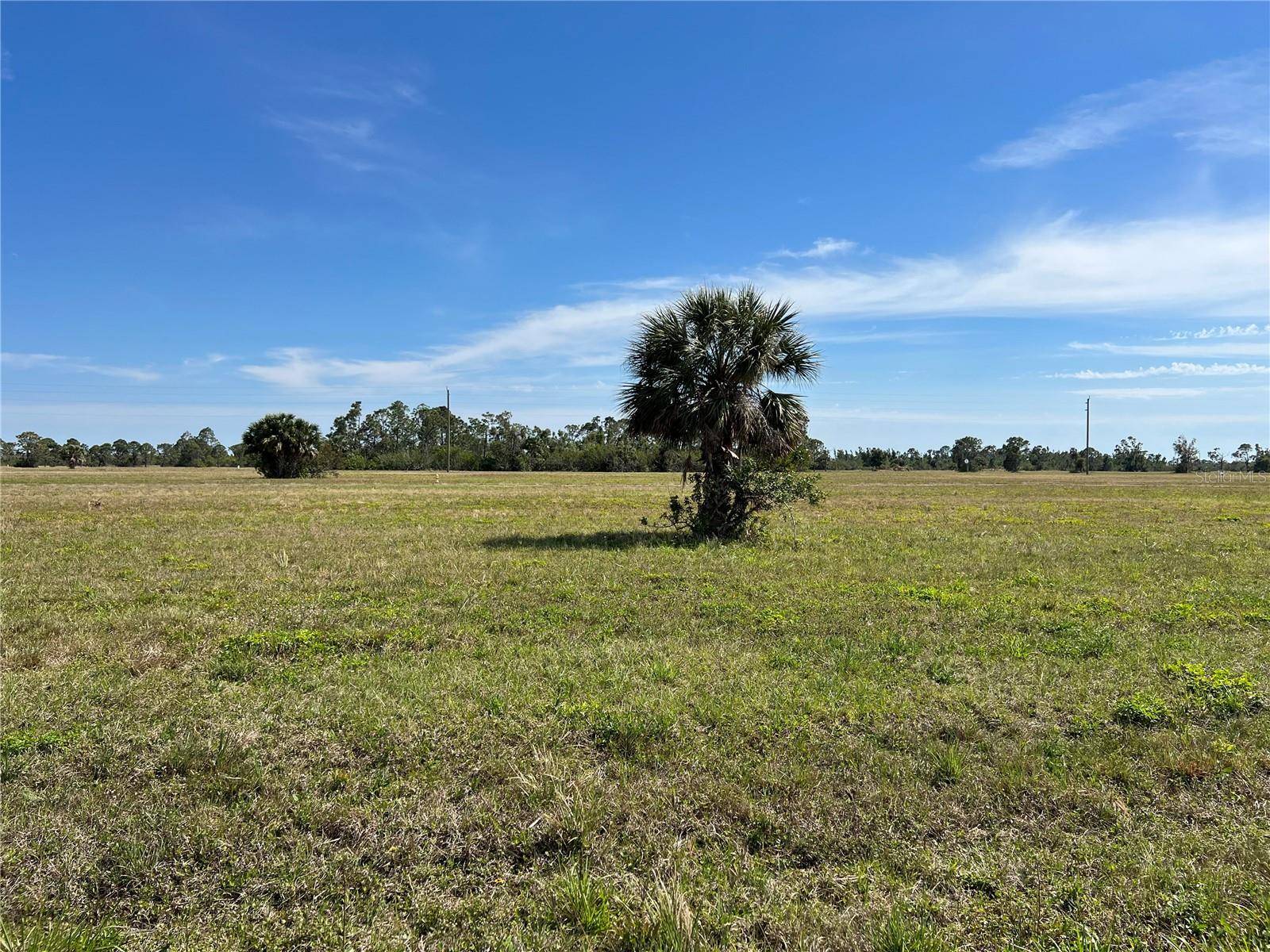 Placida, FL 33946,12360 GREENLING WAY