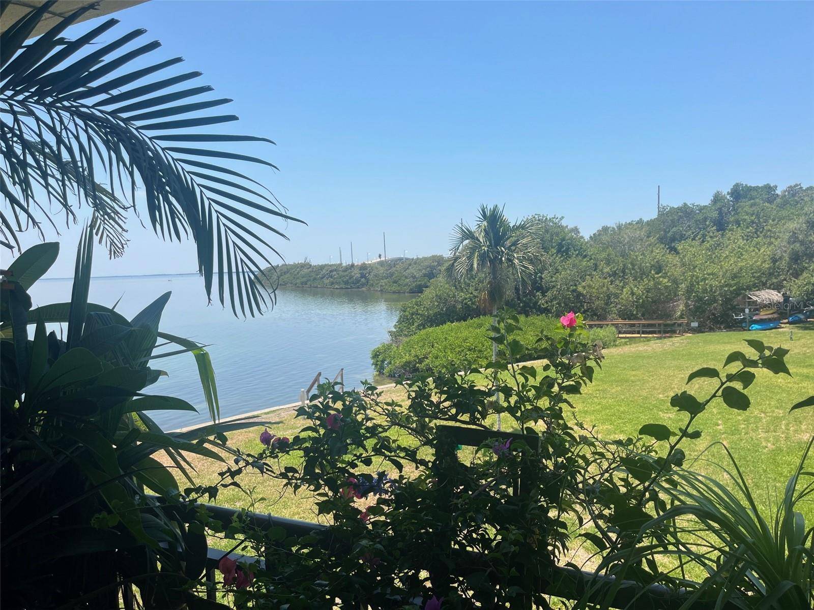 St Petersburg, FL 33715,6372 PALMA DEL MAR BLVD S #214