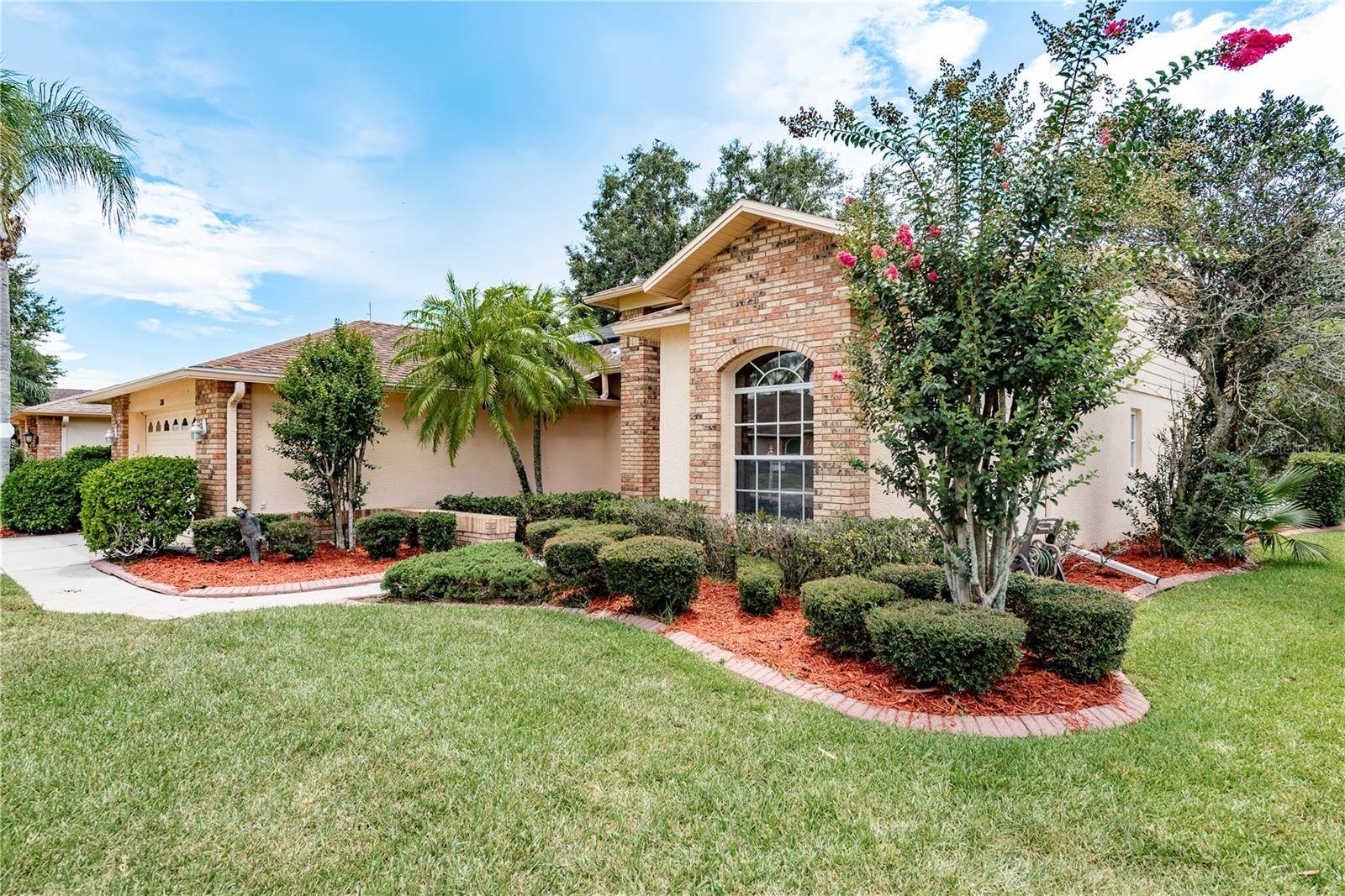 Trinity, FL 34655,1251 RAMBLING VINE CT