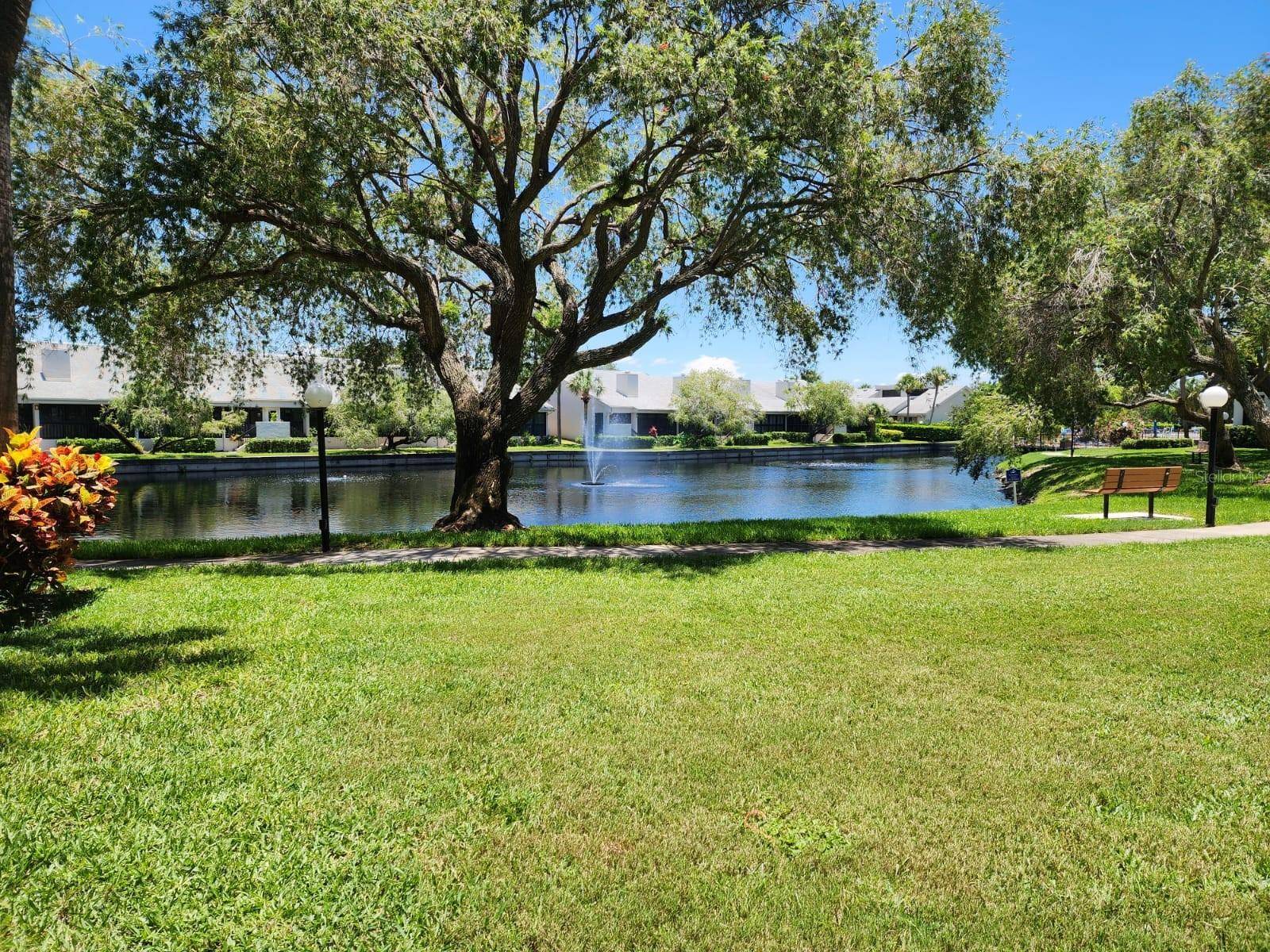 South Pasadena, FL 33707,1320 PASADENA AVE S #105