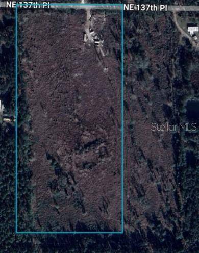 Citra, FL 32113,7100 NE 137TH PL