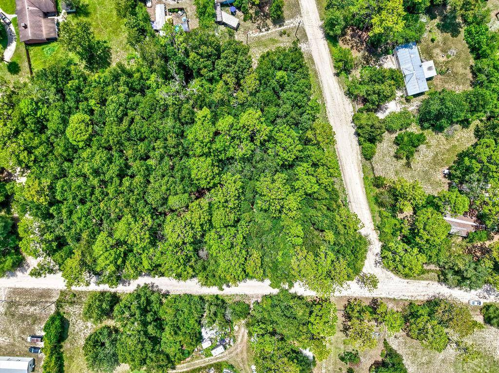 Williston, FL 32696,NE 51ST PL