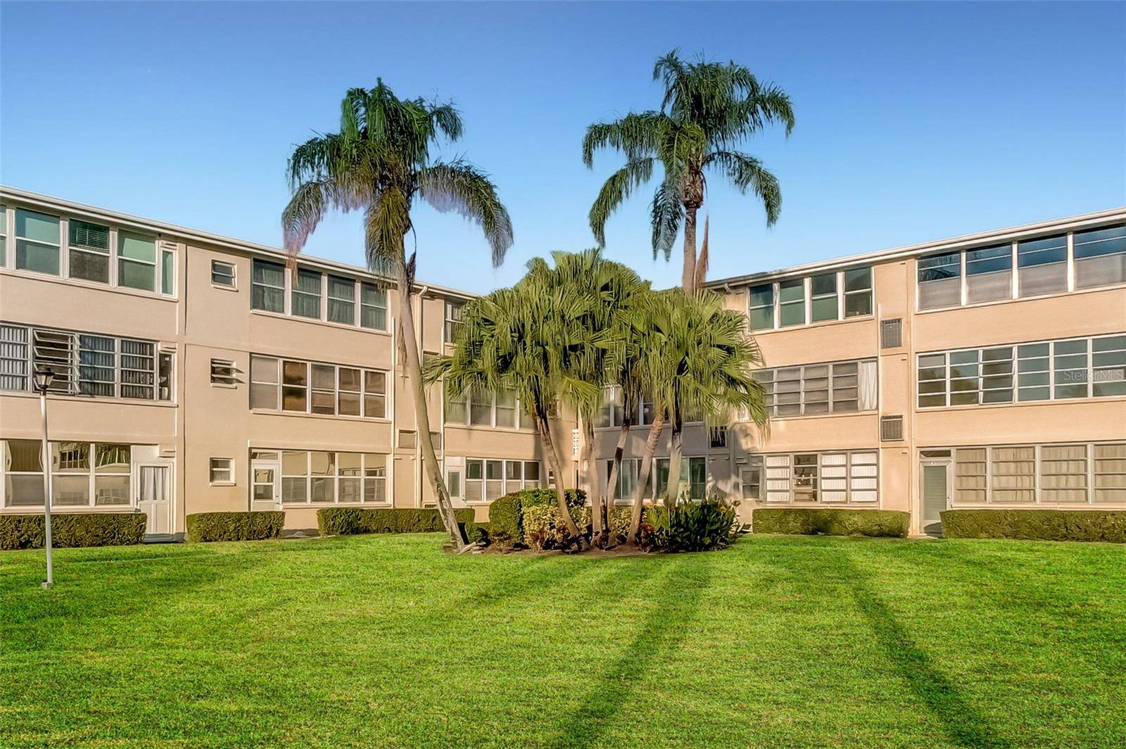 St Petersburg, FL 33702,8100 DR MARTIN LUTHER KING JR ST N #311