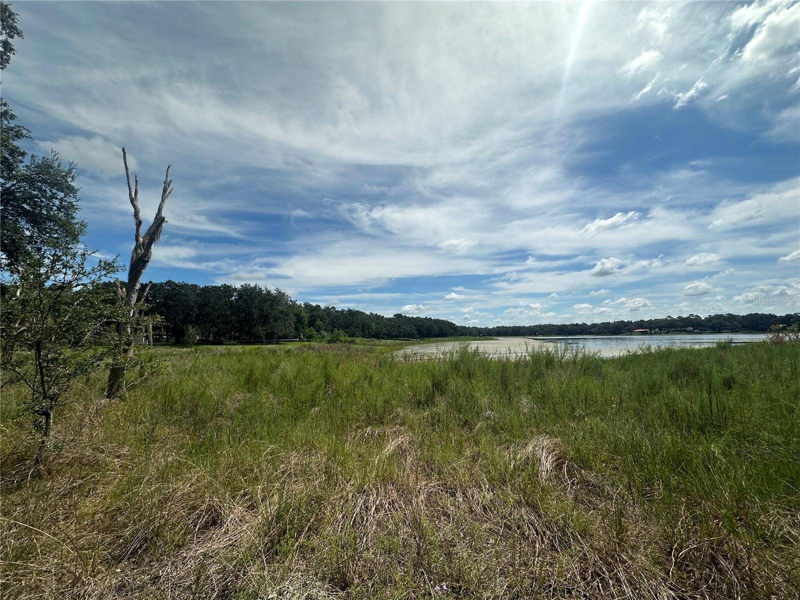 Dunnellon, FL 34431,452 453 & W1/2 LOT 451 2208 SW SHOREWOOD DR DR