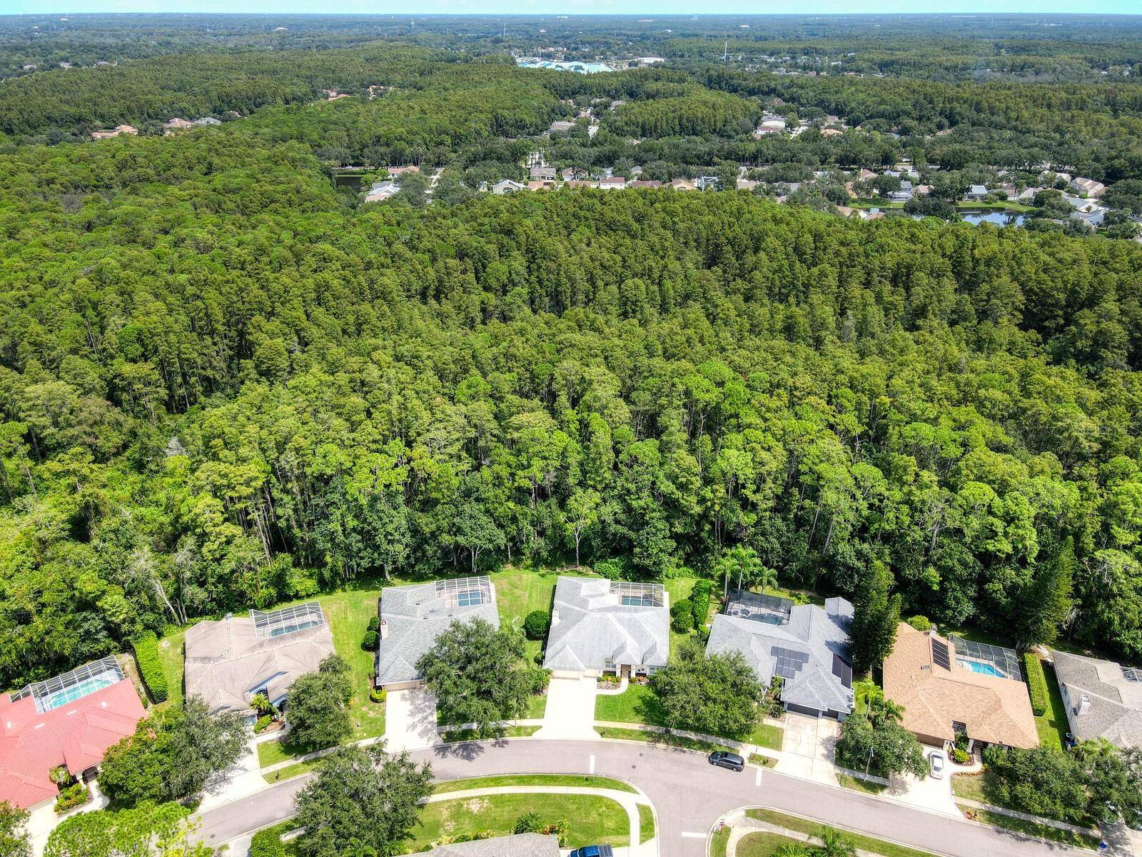 Palm Harbor, FL 34685,4125 KIRKALDY DR