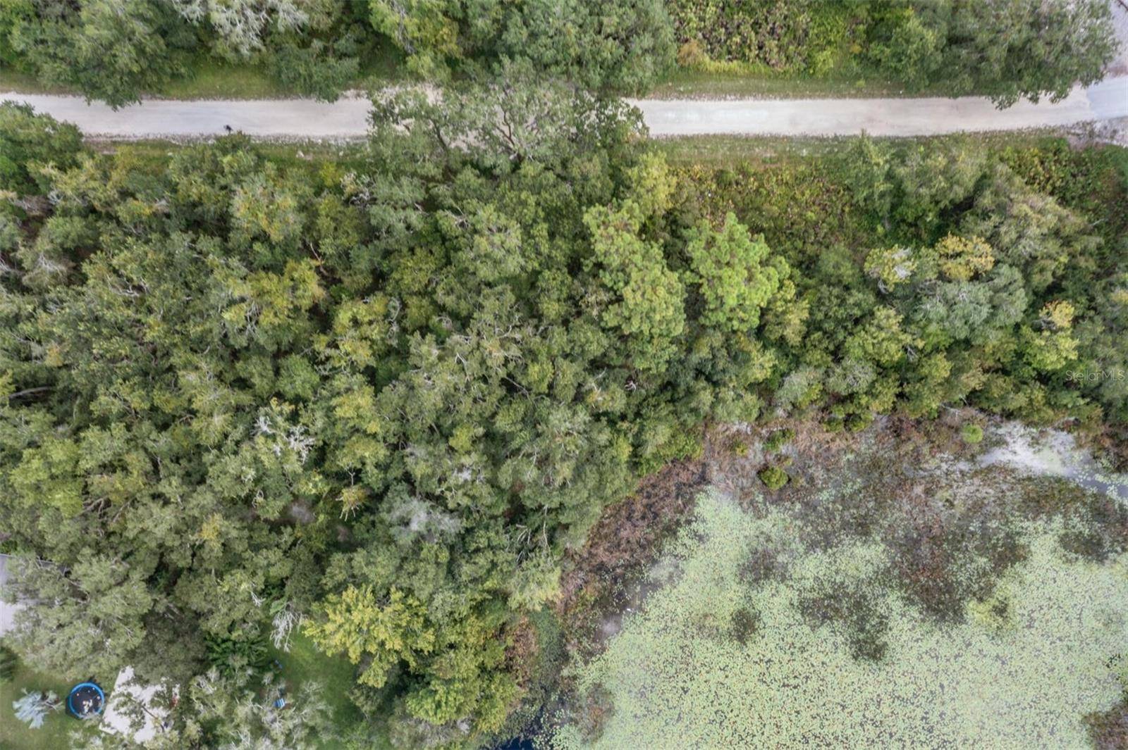 Spring Hill, FL 34610,0 GIDDENS RD