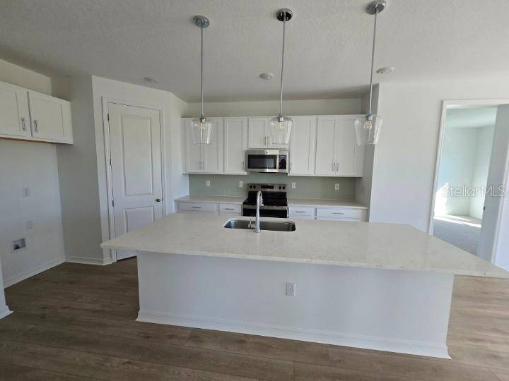 St Cloud, FL 34771,5237 PAINTED BAMBOO ST