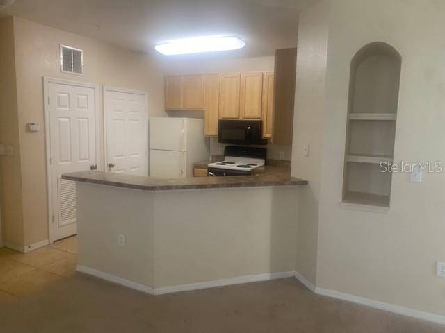 Tampa, FL 33619,10106 COURTNEY OAKS CIR #304