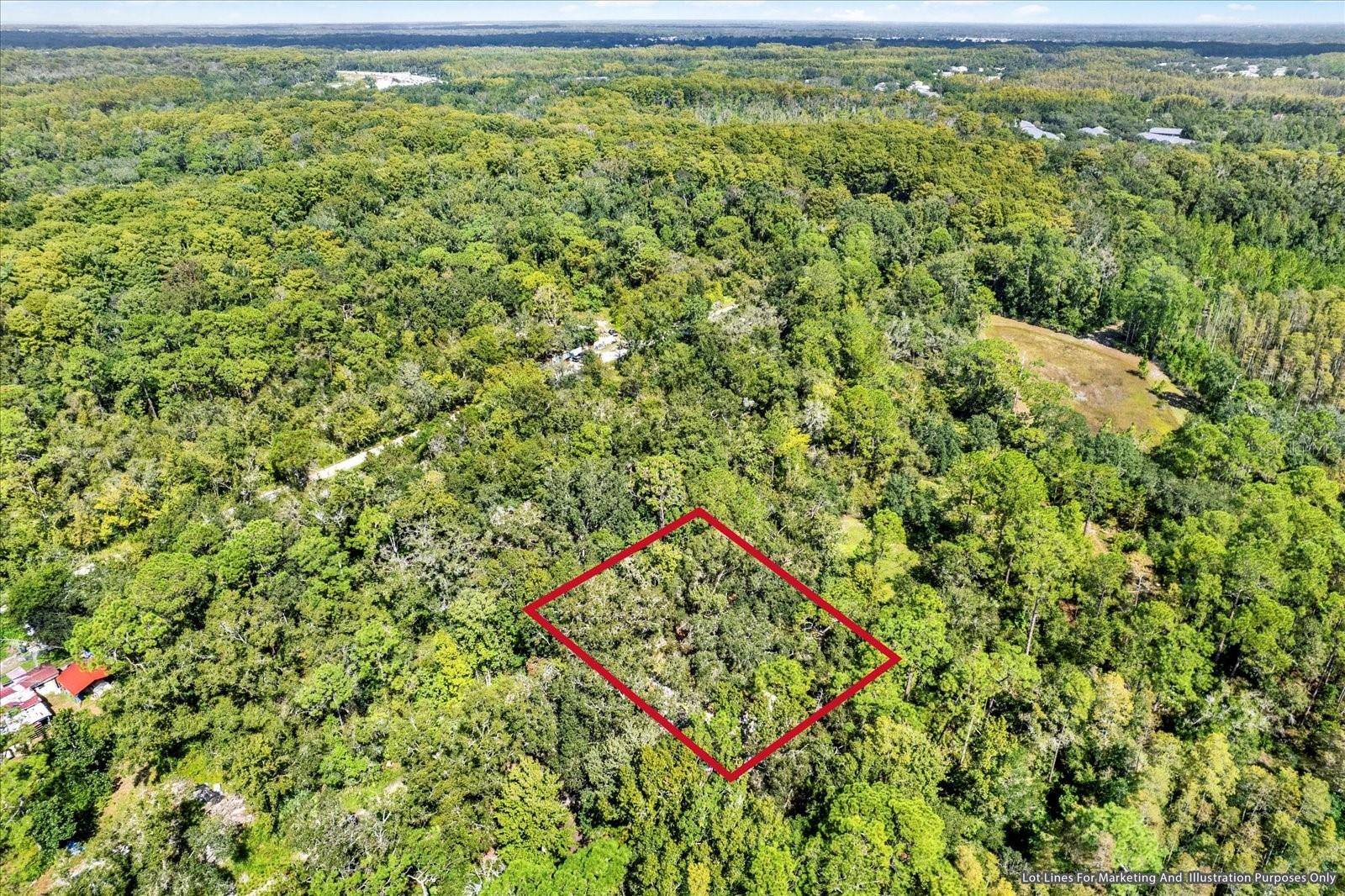 New Port Richey, FL 34654,0 WELDON ST