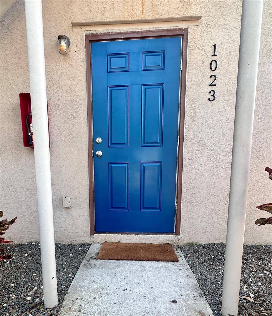 Dunedin, FL 34698,1023 DOUGLAS AVE