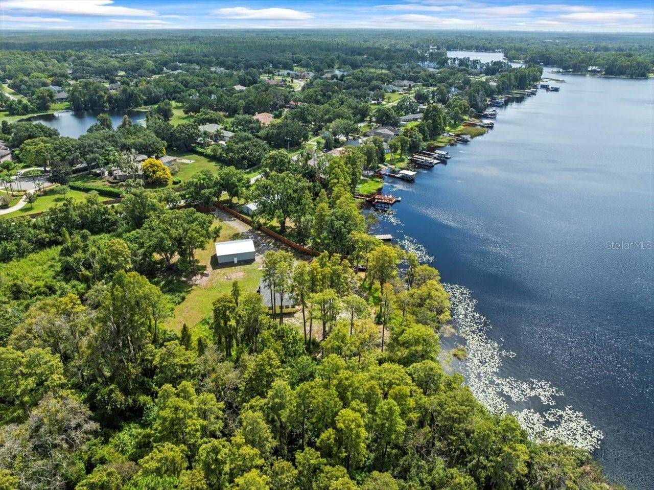 Odessa, FL 33556,17924 SIMMS RD