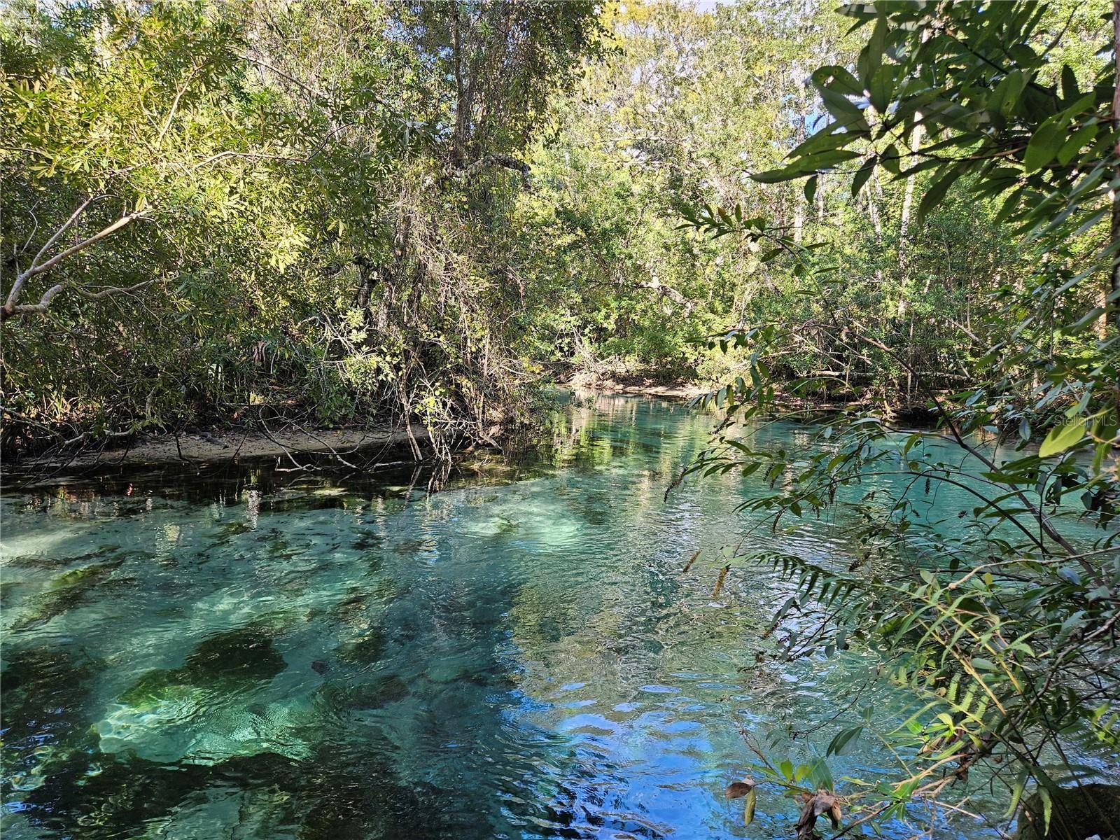 Weeki Wachee, FL 34607,7505 JOMEL DR
