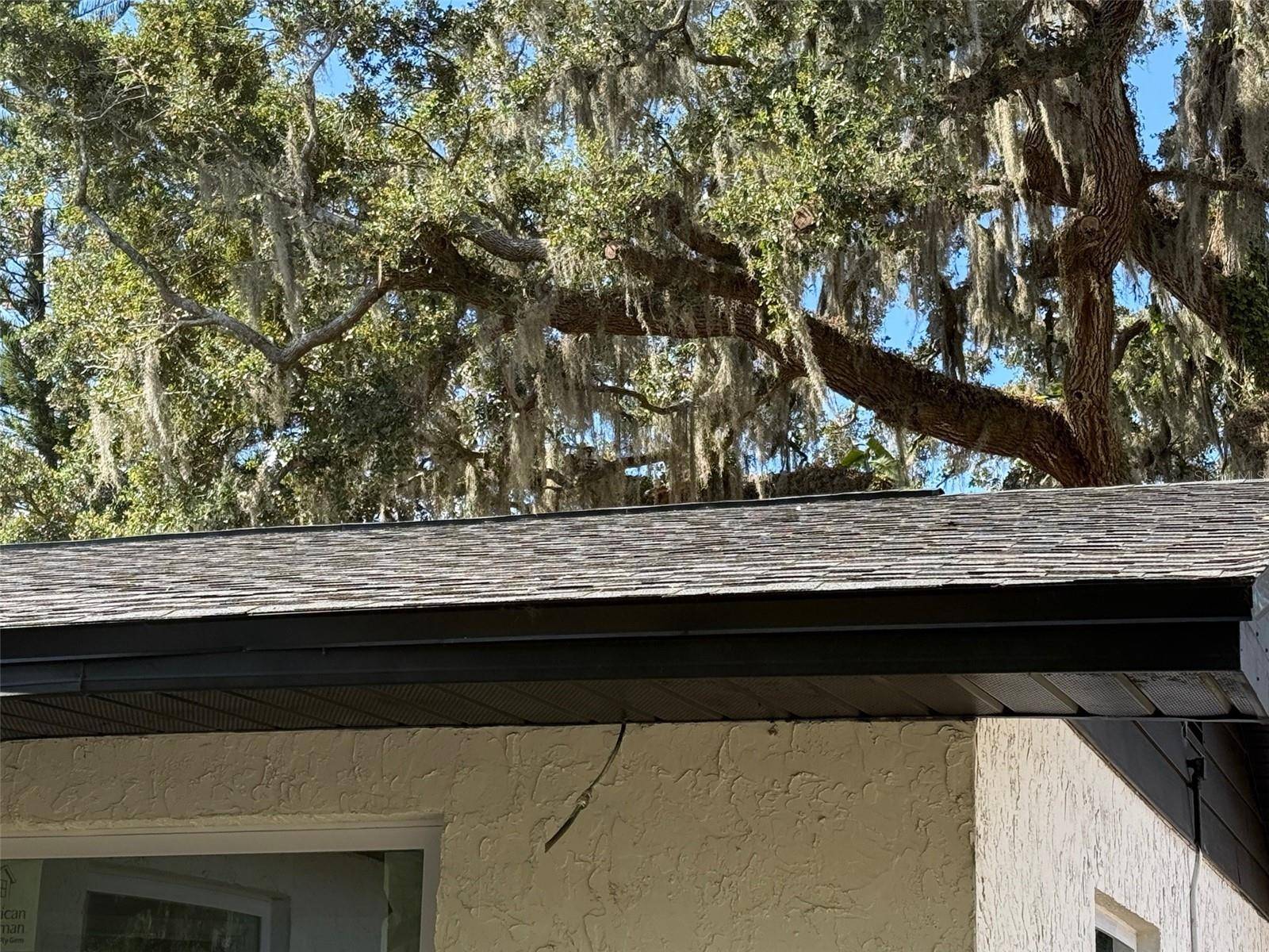 Plant City, FL 33563,2006 N GORDON ST