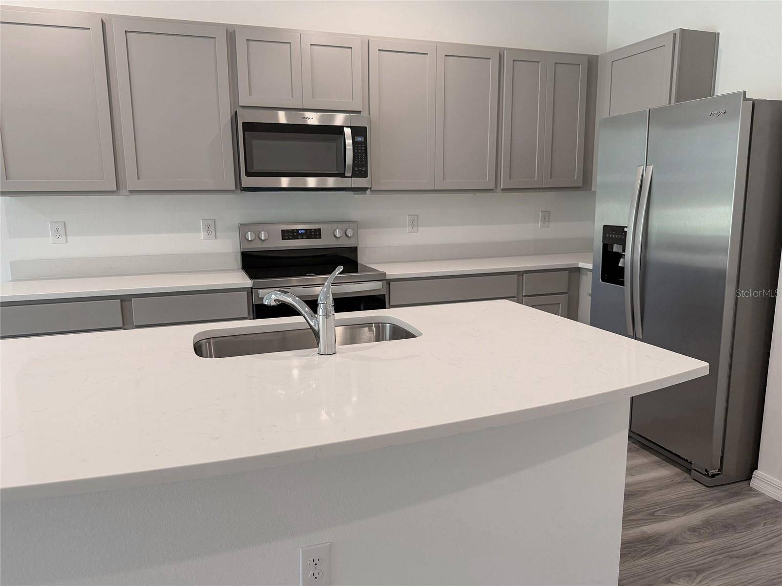 Land O Lakes, FL 34638,11367 VELVET APRICOT DR