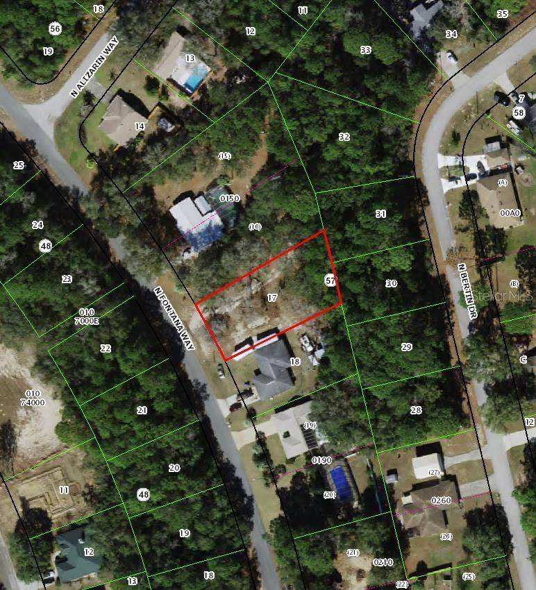 Citrus Springs, FL 34434,9069 N FONTANA WAY