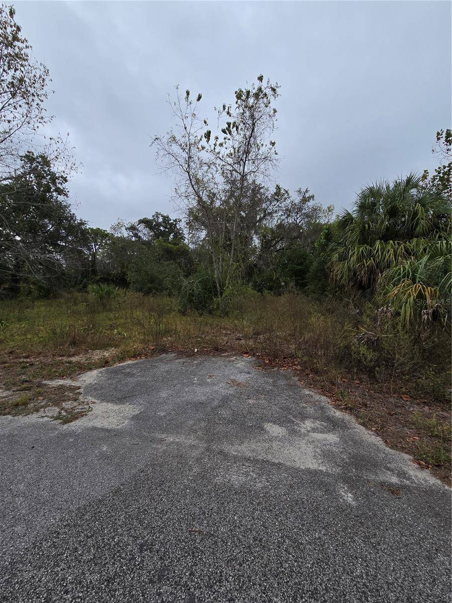 New Port Richey, FL 34654,10142 MARKHAM ST