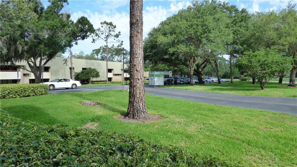 Palm Harbor, FL 34684,36750 US HIGHWAY 19 N #282004