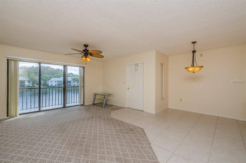 Tarpon Springs, FL 34688,1151 PINE RIDGE CIR W #F2